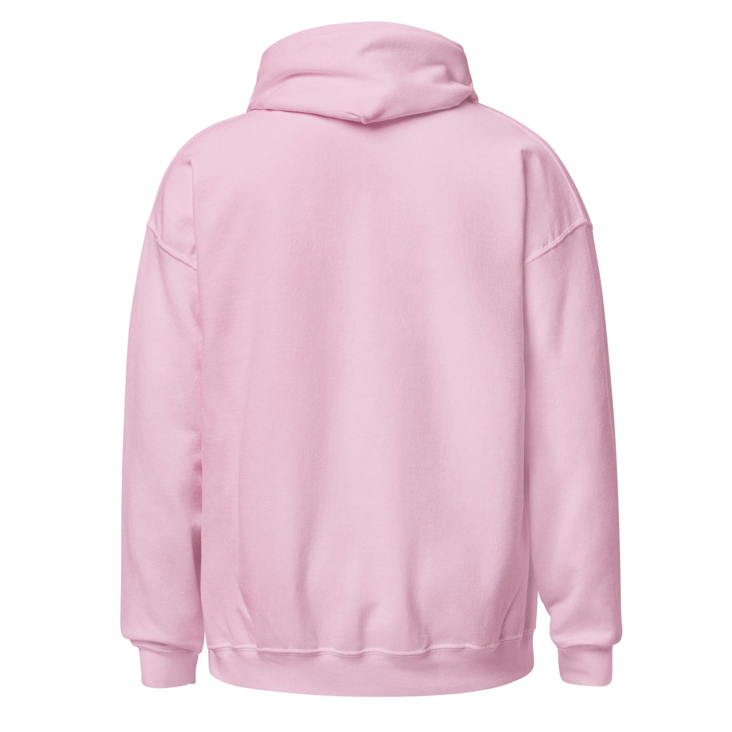Mount Rainier National Park Hoodie