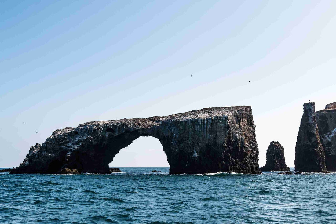 Things to do in Channel Island National Park