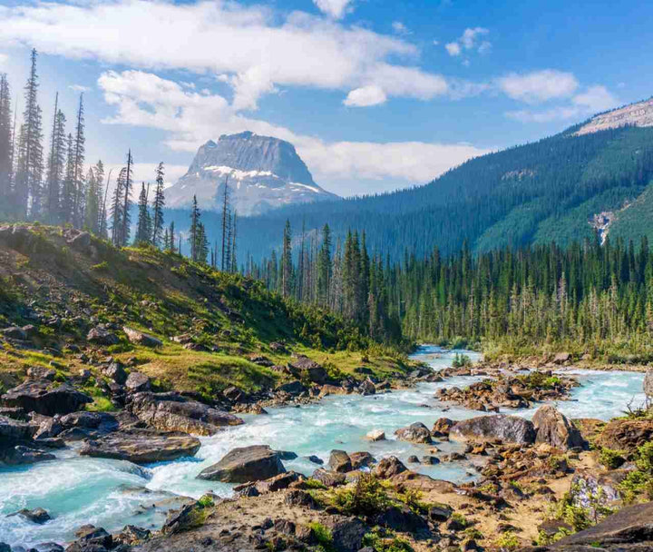 Top 10 National Parks Every Nature Lover Must Visit (and Wear!)