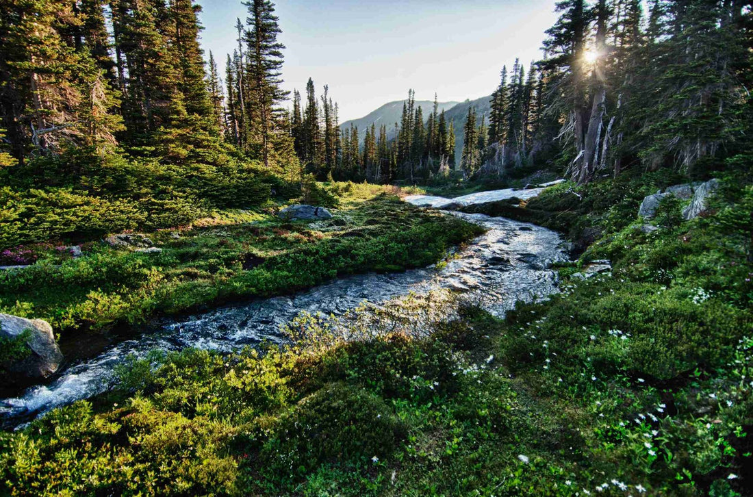 Discovering America's Natural Treasures: Celebrating National Park Week