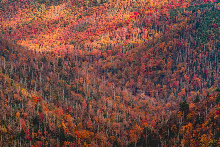 5 Best National Parks to Visit This Fall for Spectacular Foliage