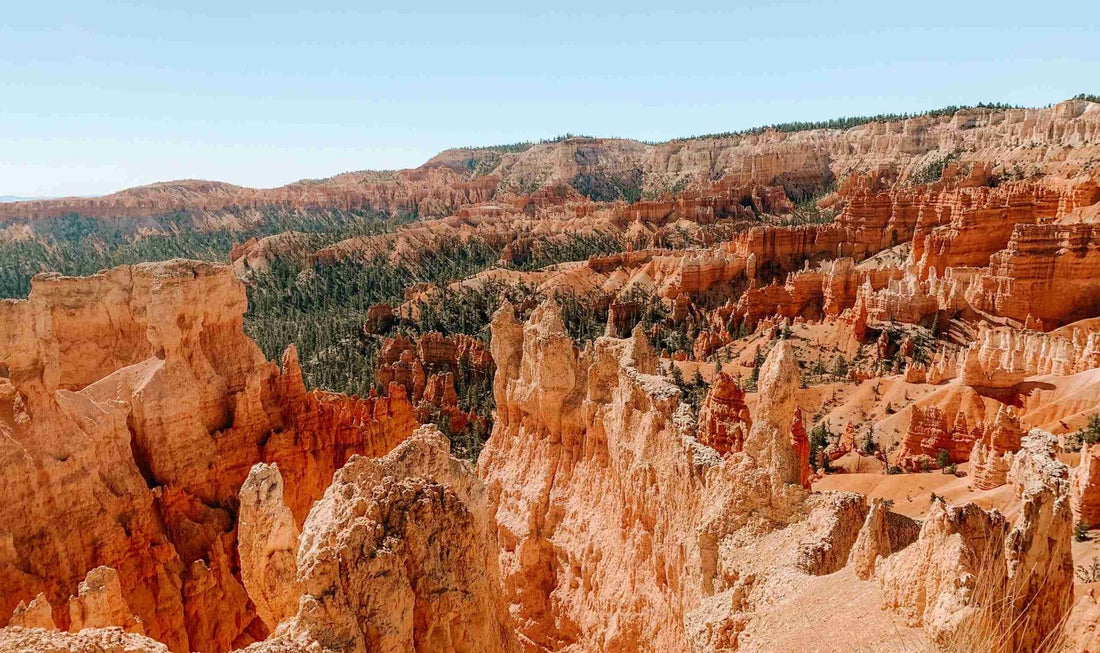 The Ultimate Utah National Park Road Trip Itinerary