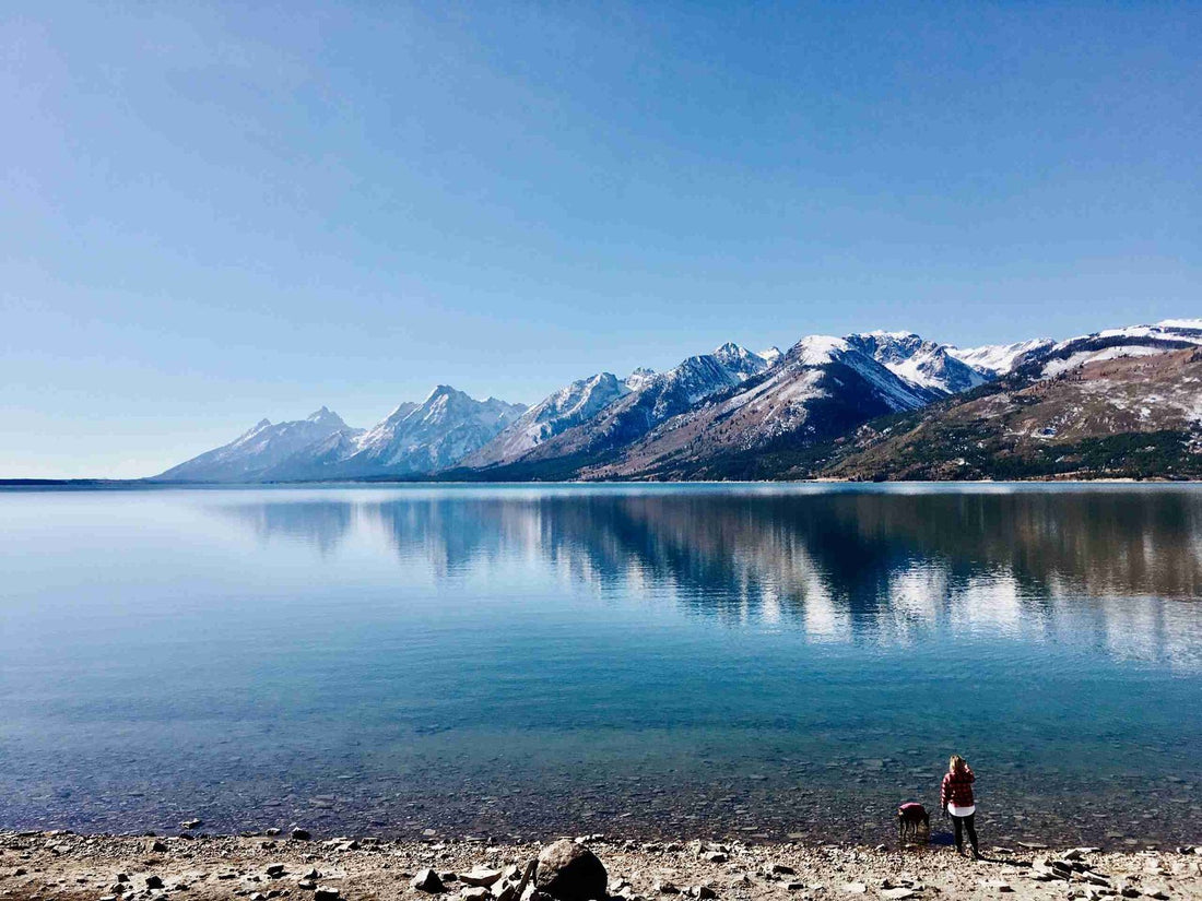 A Comprehensive Guide to Grand Teton National Park