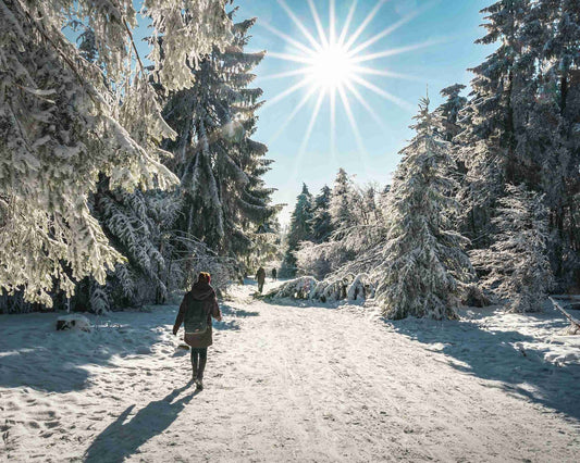 Navigating Winter Trails: 5 Tips for a Safe and Magical National Park Adventure