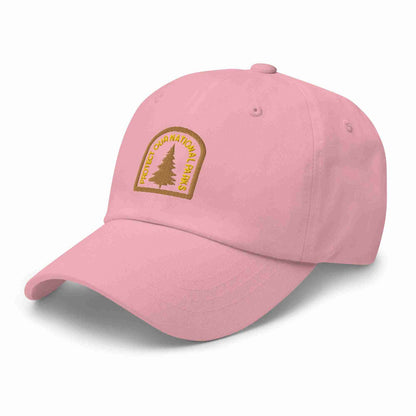 Protect Our National Parks Dad hat