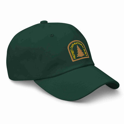 Protect Our National Parks Dad hat