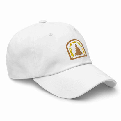 Protect Our National Parks Dad hat