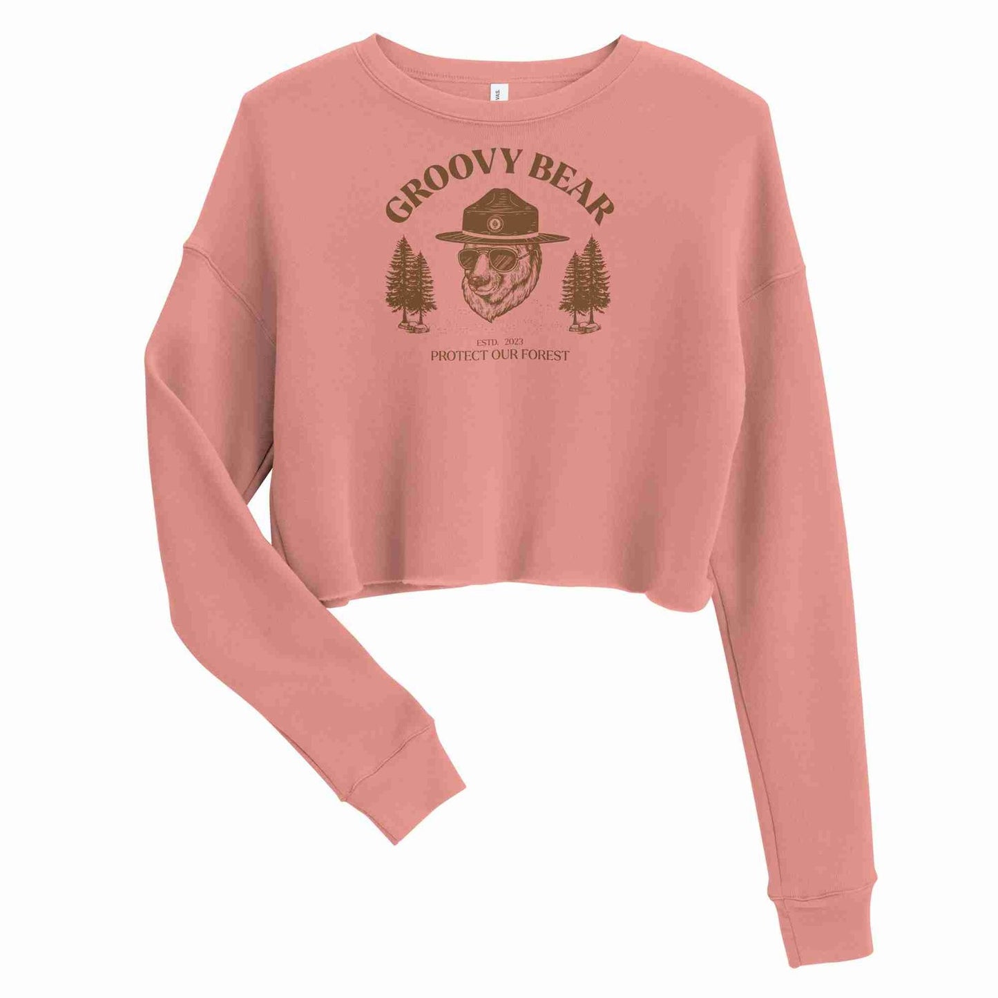 Groovy Bear Crop Sweatshirt